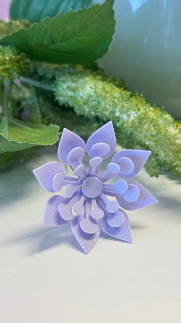 Hovedbilde blomst lavendel