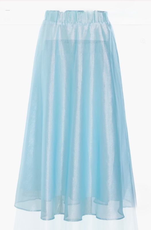 Ziannia skirt blue